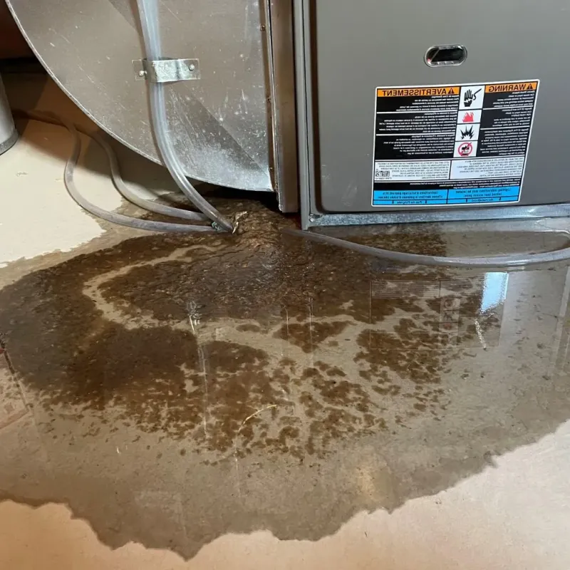 Pipe Burst and Leak Restoration in Alfred, ME